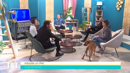 TILT - 21/02/2022 - 2/3 - La sélection spectacles jeunesse du mois