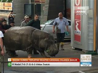 Badak air terlepas selepas kandang dilanda banjir