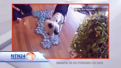CÁPSULA EFECTO NAÍM - 24 de FEBRERO de 2022