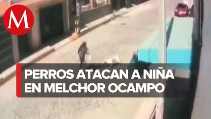 Menor es atacada por perros en Melchor Ocampo; no eran supervisados por dueños