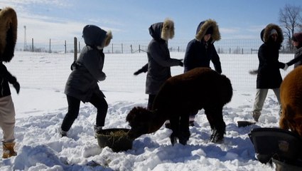 Not your typical yoga class in Canada