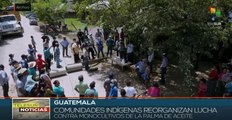teleSUR Noticias 15:30 21-02: Guatemala: Indígenas protestan contra monocultivos de la palma de aceite