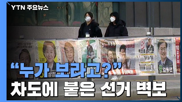 누가 보라고? ...차도에 붙은 황당 선거 벽보 / YTN