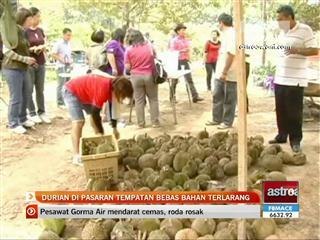 Durian pasaran tempatan bebas bahan terlarang