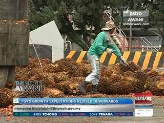 FGV’s growth expectations revised downwards