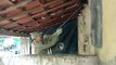 Bombeiros capturam jiboia de 1,5 metros em telhado de residência na zona rural de Cajazeiras