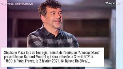 Stéphane Plaza cash sur le deuil de sa mère : "Je n'avais pas envie d'être heureux"