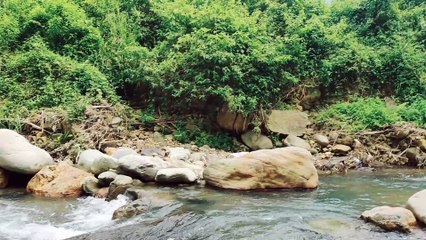 Pemandangan alam yang indah