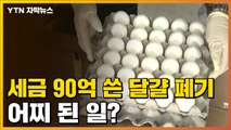 [자막뉴스] 혈세 90억 원 '공중분해'...수입 달걀 결국 폐기 / YTN