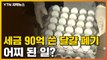 [자막뉴스] 혈세 90억 원 '공중분해'...수입 달걀 결국 폐기 / YTN