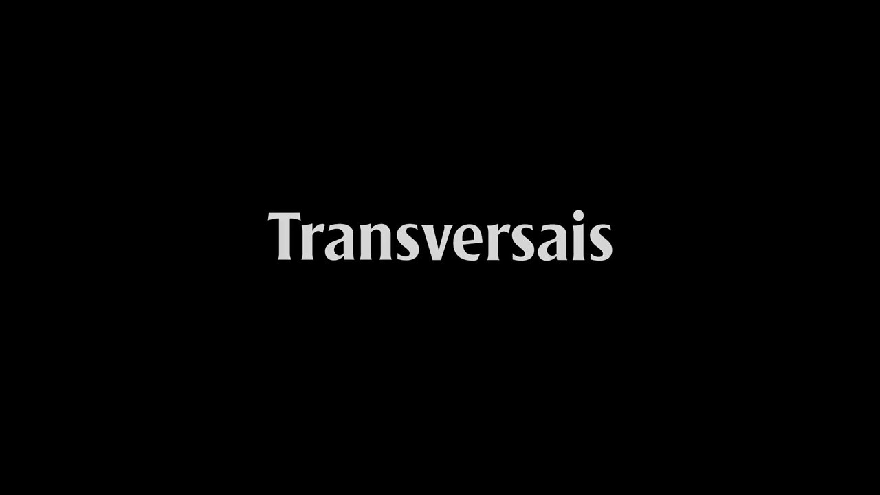 Transversais - Trailer