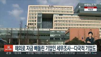 해외로 자금 빼돌린 기업인 세무조사…다국적 기업도