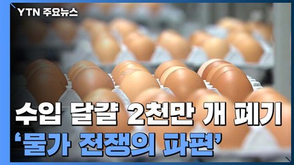 '물가 전쟁의 파편'...수입 달걀 2천만 개 폐기 속사정 / YTN