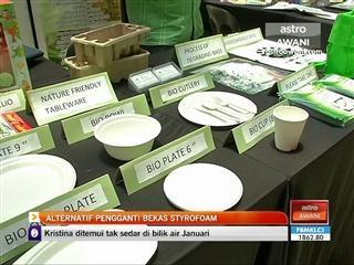 Alternatif pengganti bekas styrofoam
