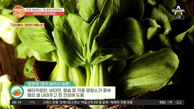 장 튼튼 면역 밥상 레시피 대공개!~ '청경채 오징어볶음'으로 장을 지키자!