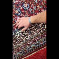 Funniest Dogs And Cats Ever - Best Funny Animal Videos Of The 2022 OTV 8