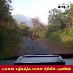 ஒத்தையில நிக்குறேன்; உரசி பார்க்காதே; மிரட்டும் காட்டு யானையின் வீடியோ