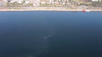 İstanbul'da müsilaj yeniden görüldü