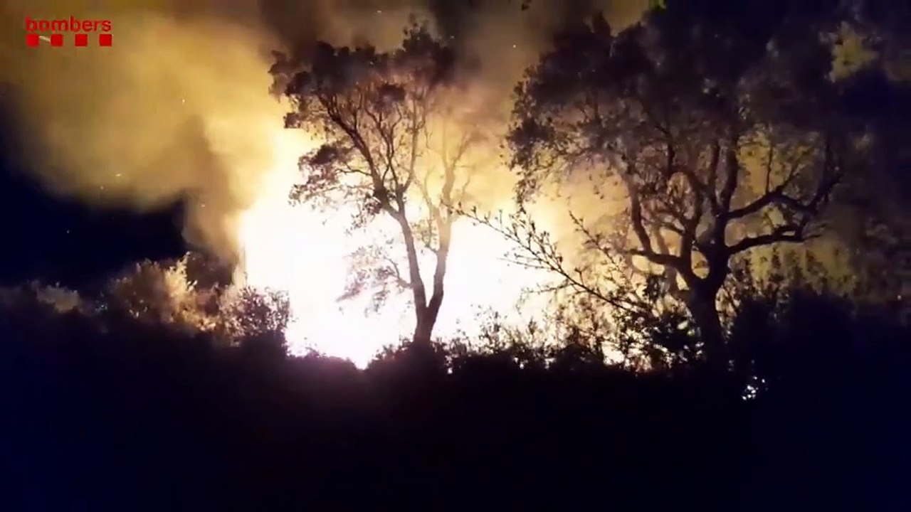 Incendi forestal a Roses