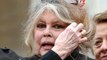 Brigitte Bardot ne soutient plus Eric Zemmour : en colère contre le candidat, elle lui reproche d'av