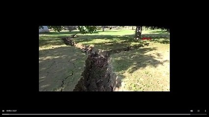 Aydın'da tedirgin eden görüntüler