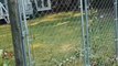 Person Is Horrified On Seeing Fence Replaced By Gate That Gives Neighbor Access To Their Backyard