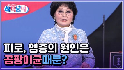 겉과 속이 다른 해석남녀 6회 [피로가 쌓이고 염증이 생기는 이유는 곰팡이균 때문?] 미리보기