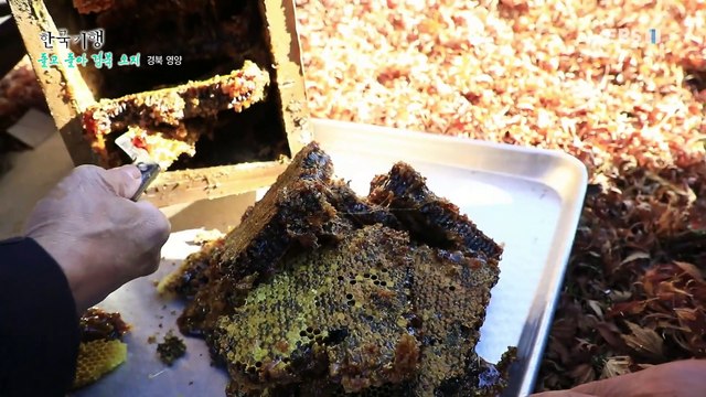 한국기행 - Korea travel_돌고 돌아 경북 오지 2부- 별 보러 오지, 포산마을_#002