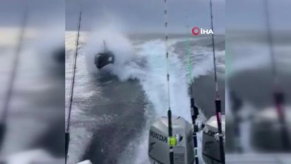 Meksika'da katil balina tekneyi kovaladı