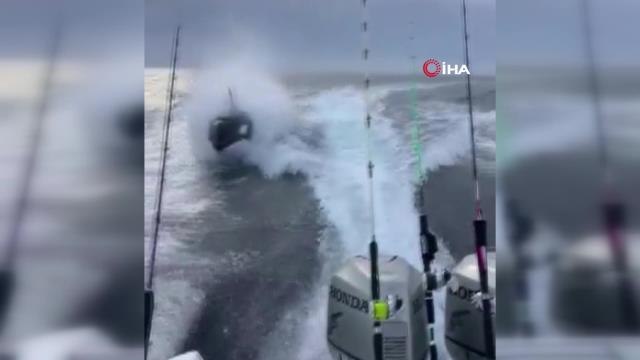 Meksika'da katil balina tekneyi kovaladı