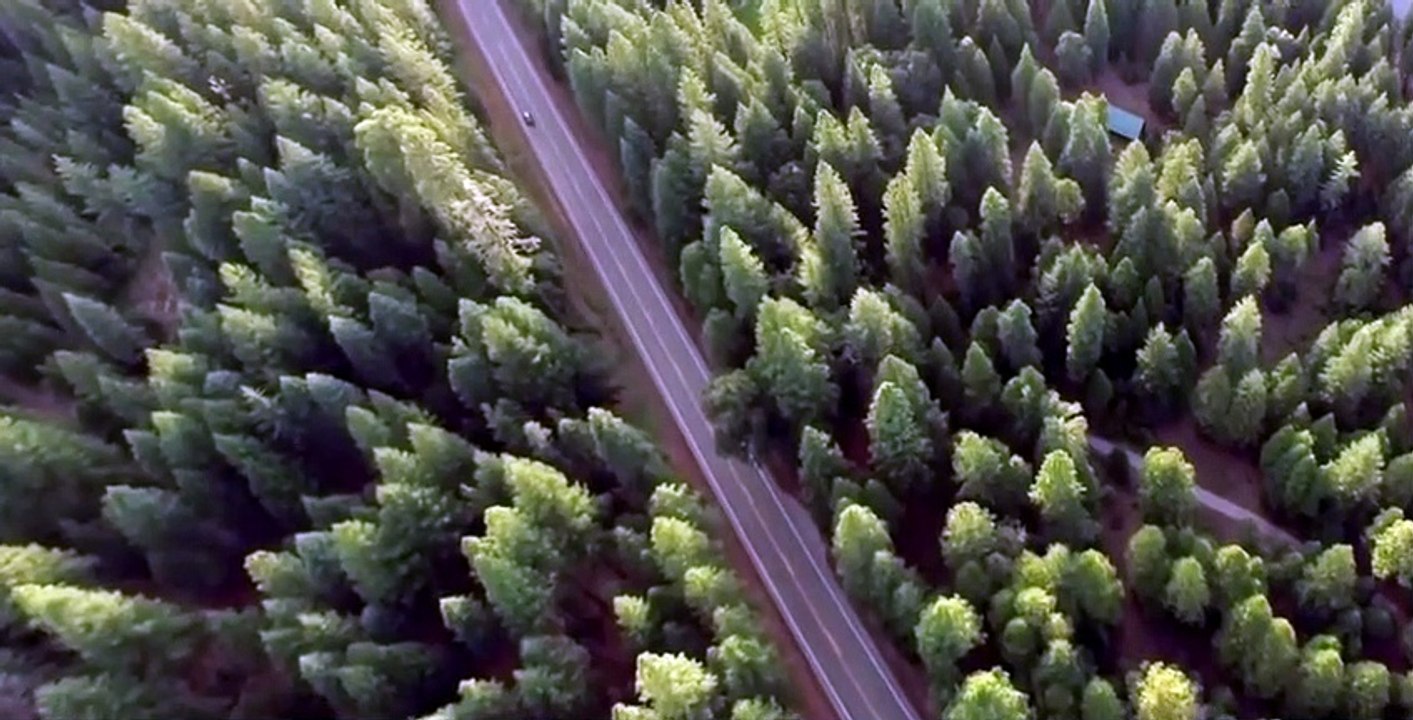 Terror in the Woods S01 E01