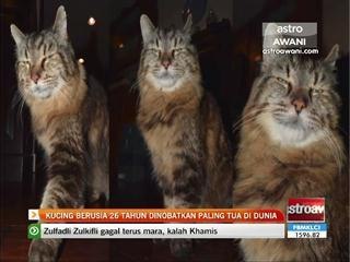 Kucing berusia 26 tahun dinobatkan paling tua di dunia