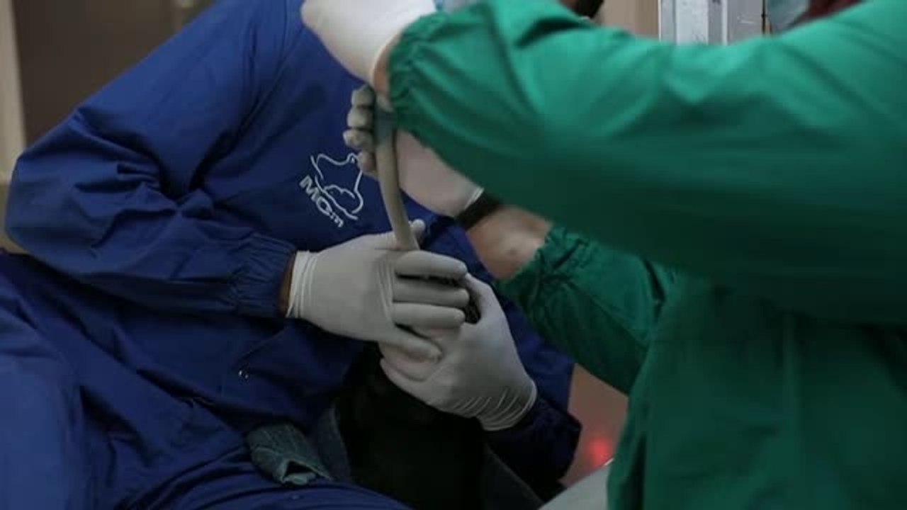 Regresa al mar la foca monje que hace meses apareció recién nacida y deshidratada en la costa griega