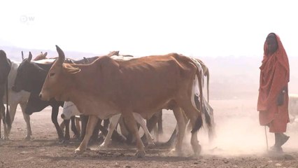 सिनेमा दिखाकर गांव को हरा भरा बनाने की कोशिश
