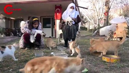 Kedi dostu Zahide Nine, onlara yıllardır annelik yapıyor