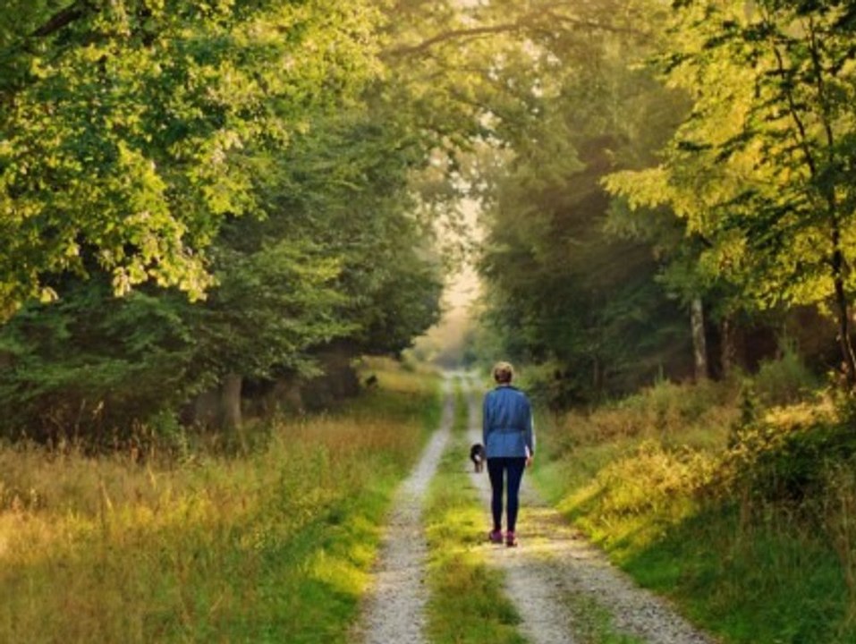 Lebensgefahr! Deshalb solltest du nicht in den Wald gehen