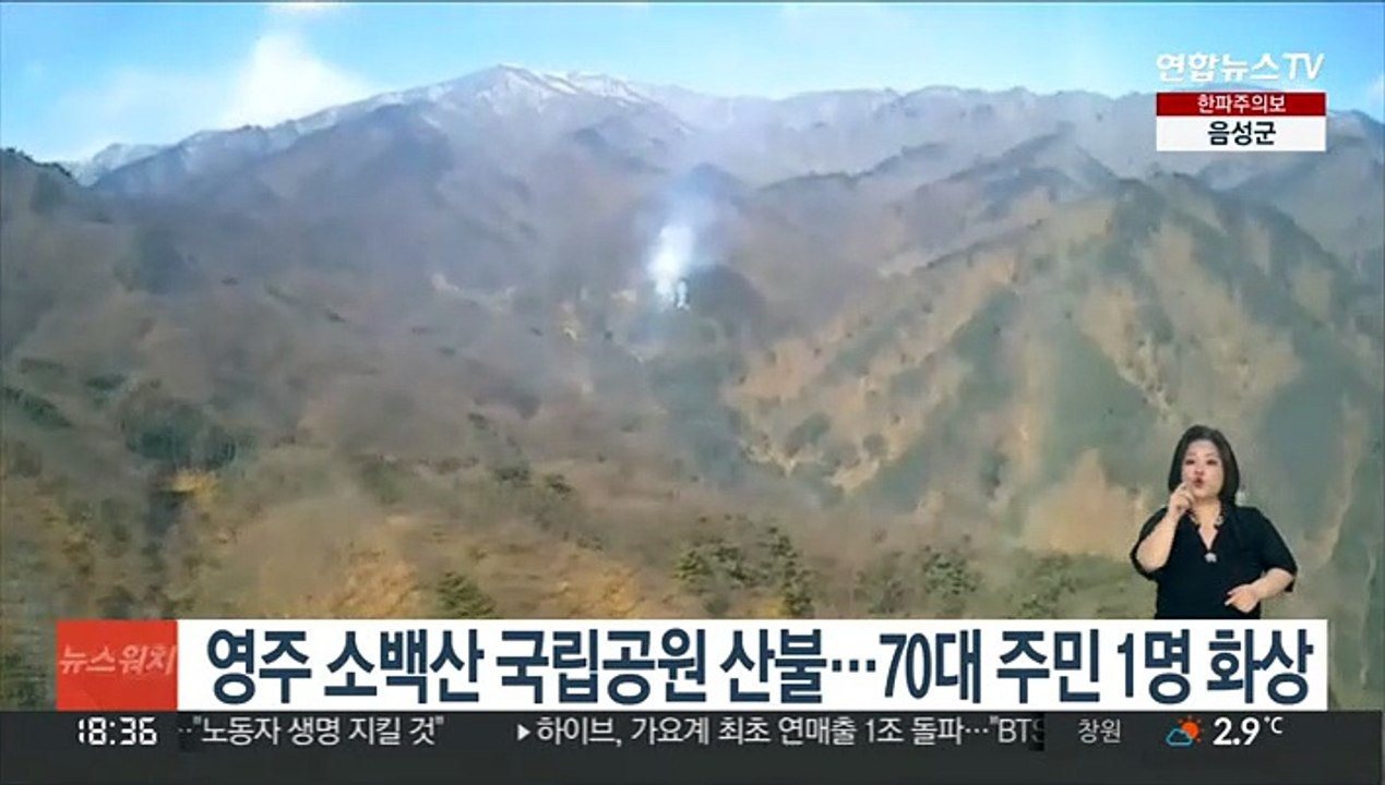 영주 소백산 국립공원 산불…70대 주민 1명 화상