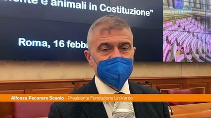 Pecoraro Scanio "Ambiente in Costituzione, le leggi si adeguino"