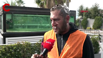 Muhittin Böcek talimat vermişti: 'Gece kulübündeki' köpek balığı, yeni yaşam alanına nakledildi