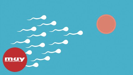 ¿Puede afectar la contaminación a la calidad de semen?