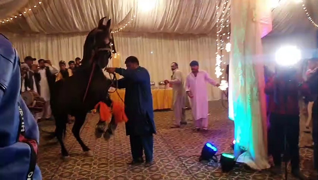 Amazing Horse Dance with Dhool in Pakistan  Mehndi Function in