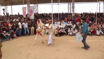 Horse Dancing At The Cattle Fair In Pushkar Rajasthan India  Amazing Horse Dance Competition