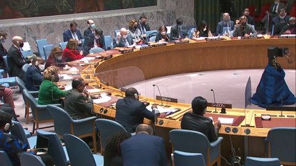 Críticas a Rusia en el Consejo de Seguridad de la ONU: "¿Quién será el próximo?"