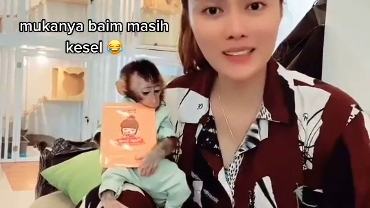 Smart baby monkey