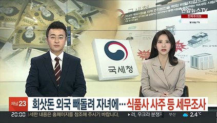 회삿돈 외국 빼돌려 자녀에…식품사 사주 등 세무조사