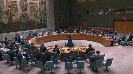 Conselho de Segurança e a crise na Ucrânia
