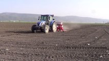 GAZİANTEP - Tescilli İslahiye biberinin tohumları toprakla buluşuyor
