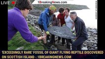 'Exceedingly rare' fossil of giant flying reptile discovered on Scottish island - 1BREAKINGNEWS.COM