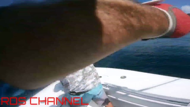 Full speed Giant trevally attack