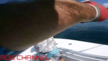 Full speed Giant trevally attack